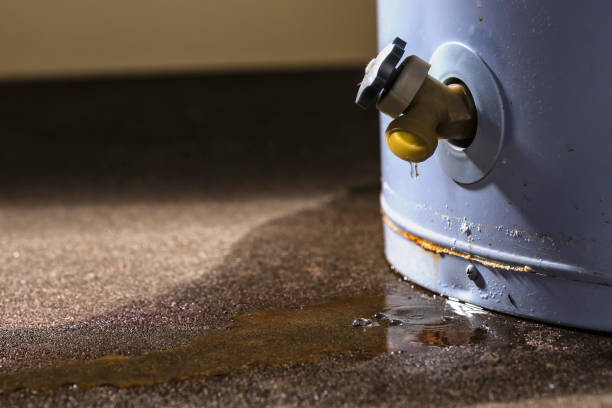 Best Water damage restoration near me  in Level Green, PA