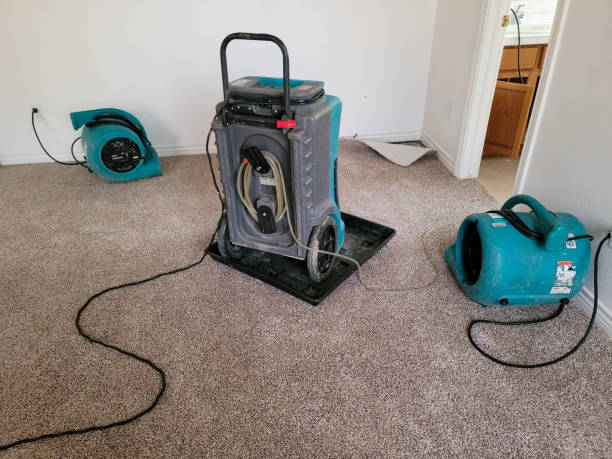 Best Professional water damage repair  in Level Green, PA