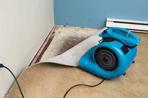 Best Flooded house restoration  in Level Green, PA